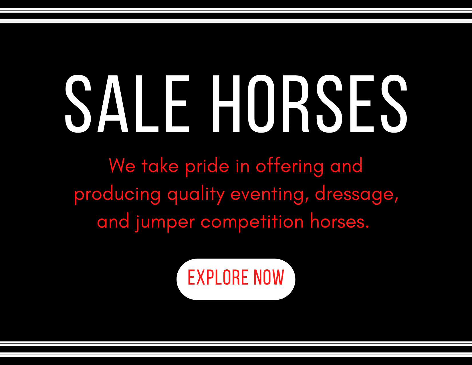 Four Star Farm offers quality eventing, dressage and hunter/jumper competition horses.