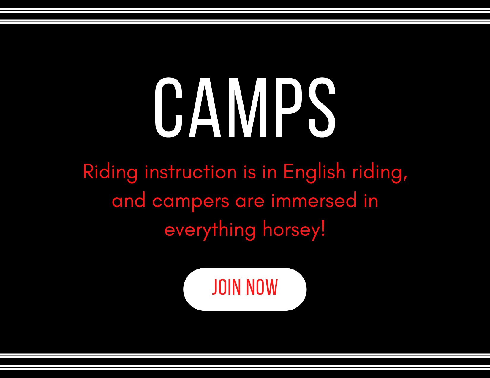Summer riding camps immerse youngsters in everything horsey!
