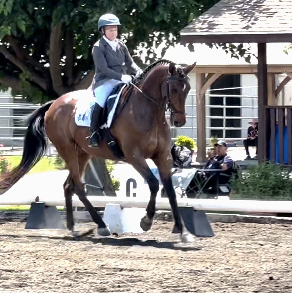 Lucky-Seven-Canter