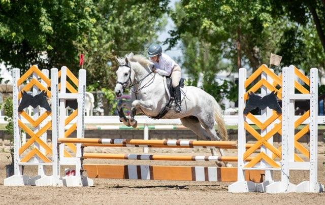 Johnny B Goode is a 2018 model Trakehner-Connemara cross who has evented to Novice and excelled in the jumper ring.